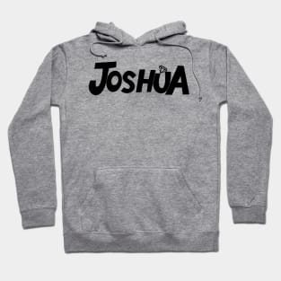 NANA tour with Seventeen: Joshua Hoodie